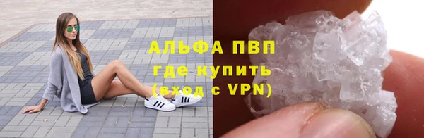 дживик Майский