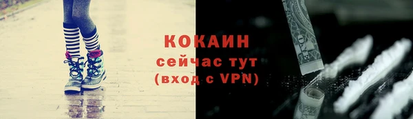 дживик Майский