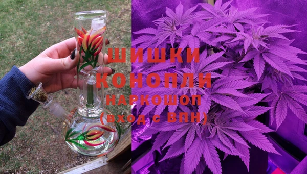 дживик Майский