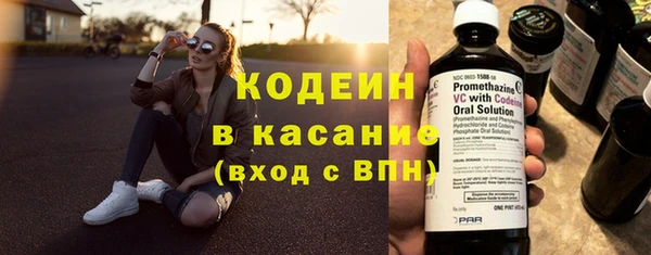 дживик Майский